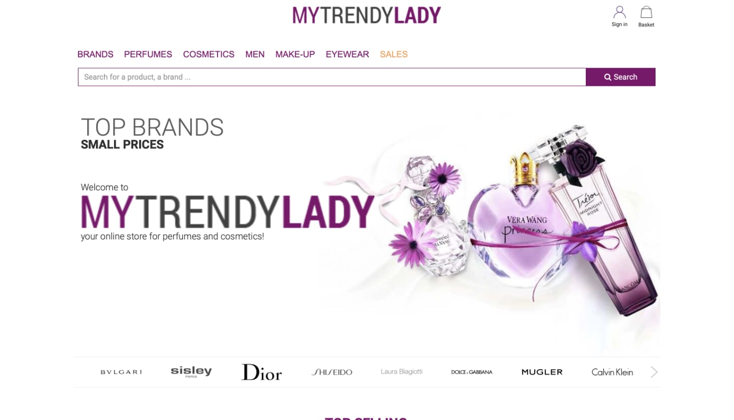 Screenshot of {project.name} website