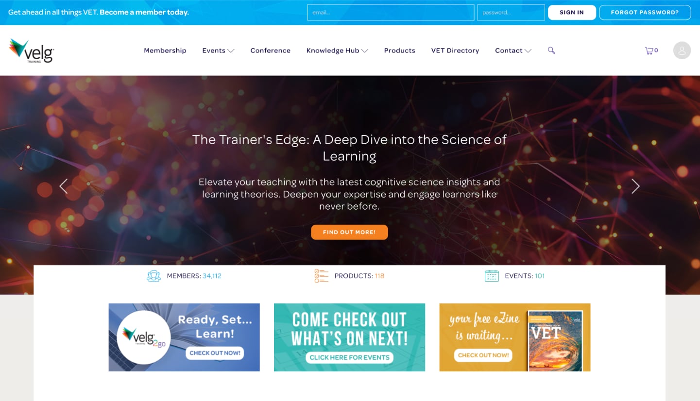 Screenshot of {project.name} website
